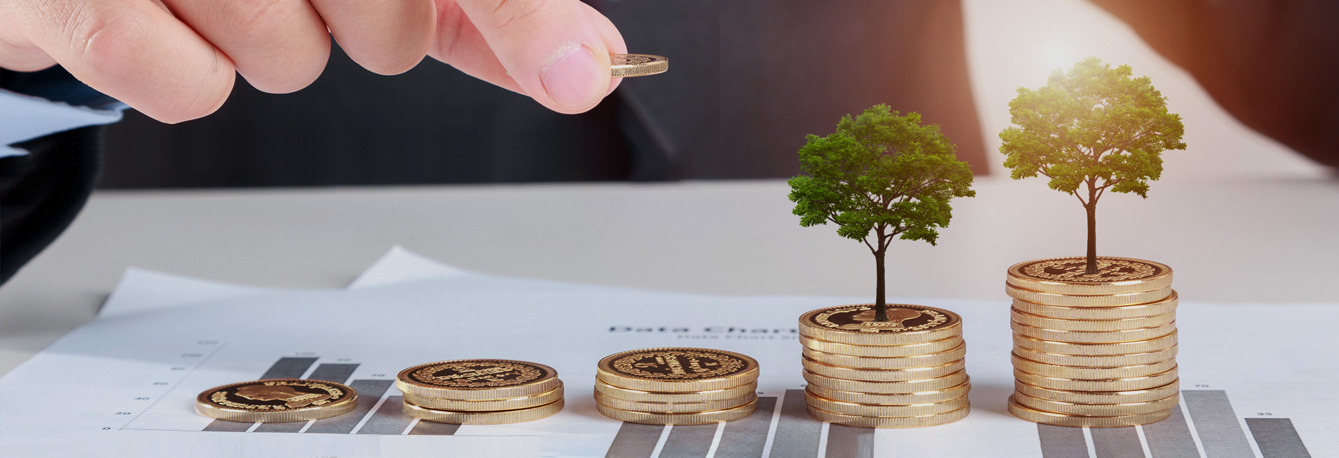 财税团队 专业会计团队<span>Senior fiscal and taxation team, professional accounting team</span>